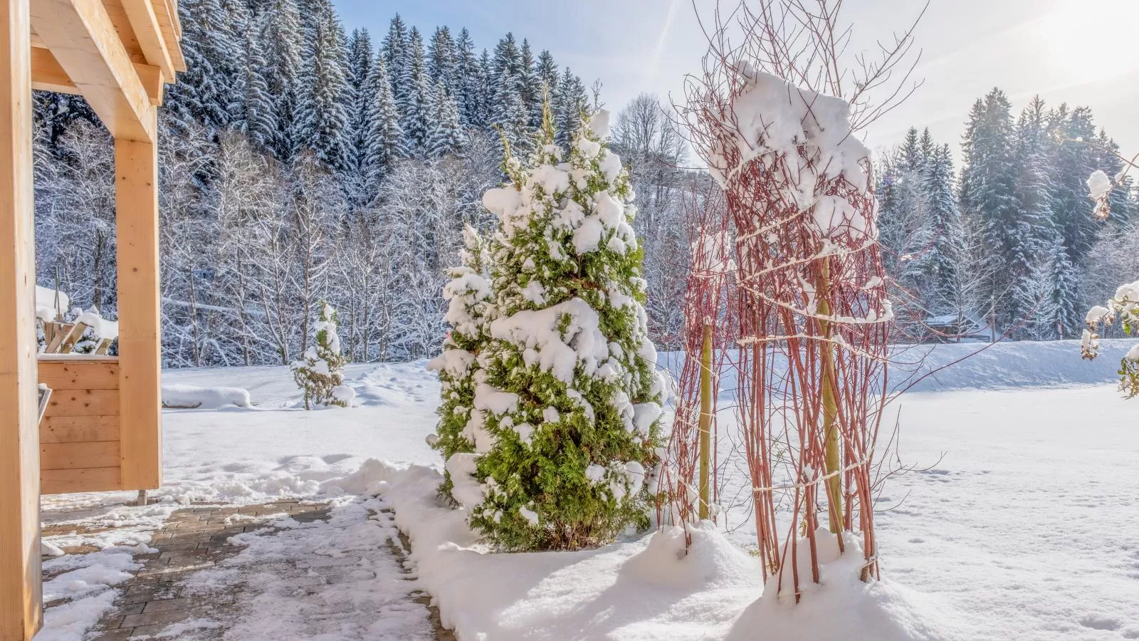 Blick auf den Rettenstein Top 1-View winter