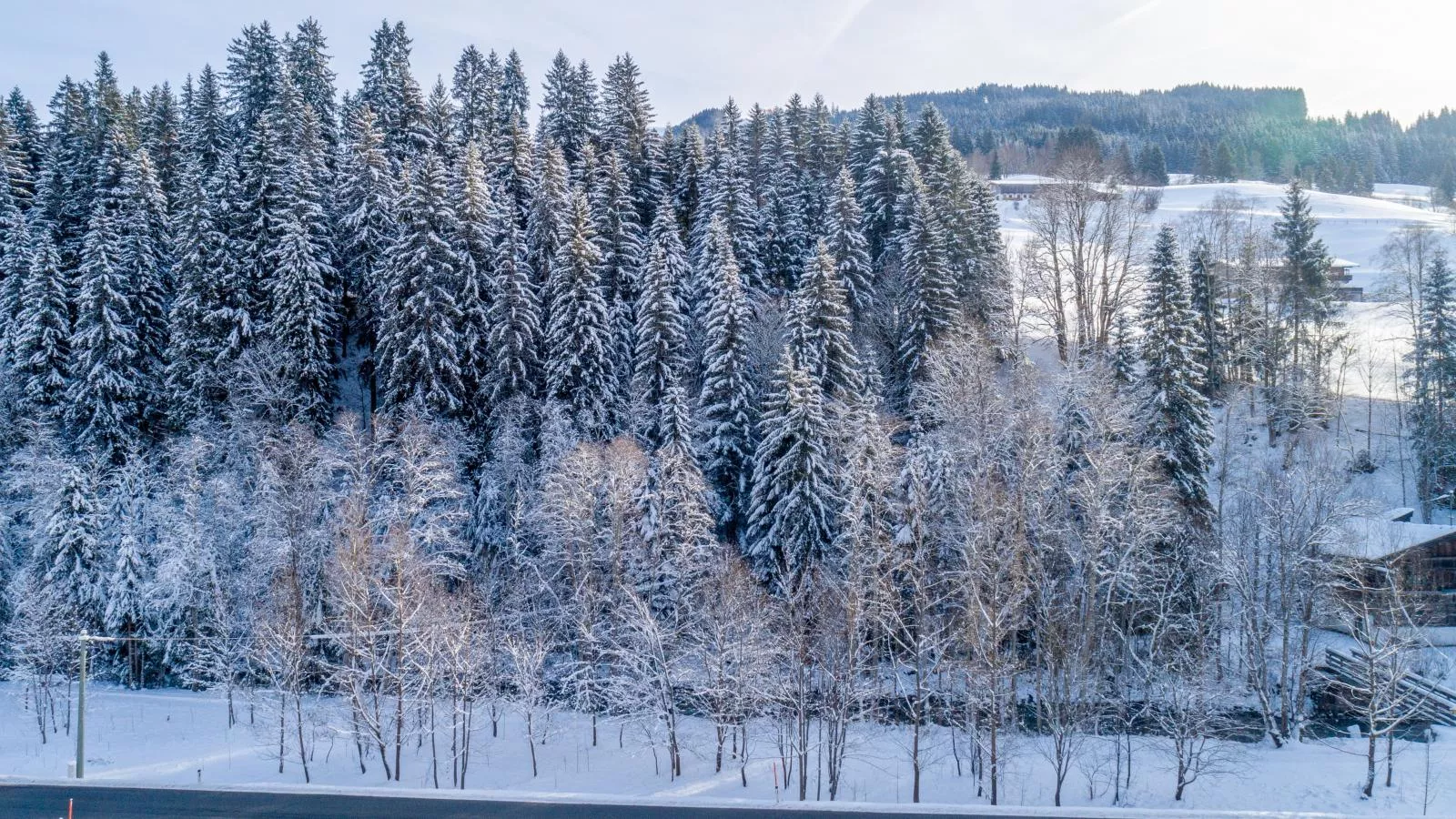 Blick auf den Rettenstein Top 2-Area winter 1km
