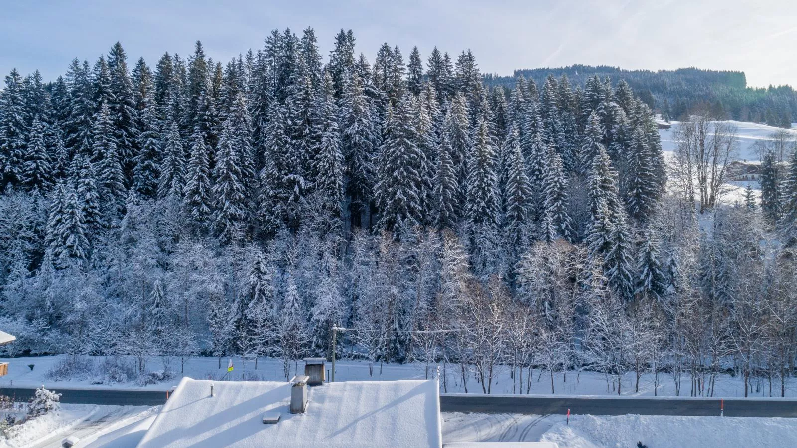 Blick auf den Rettenstein Top 2-Area winter 1km