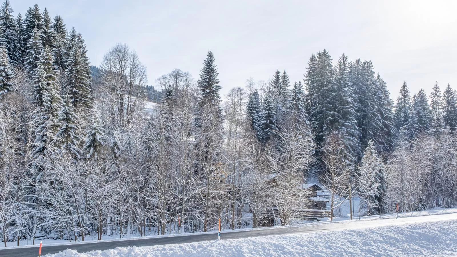 Blick auf den Rettenstein Top 2-Area winter 1km