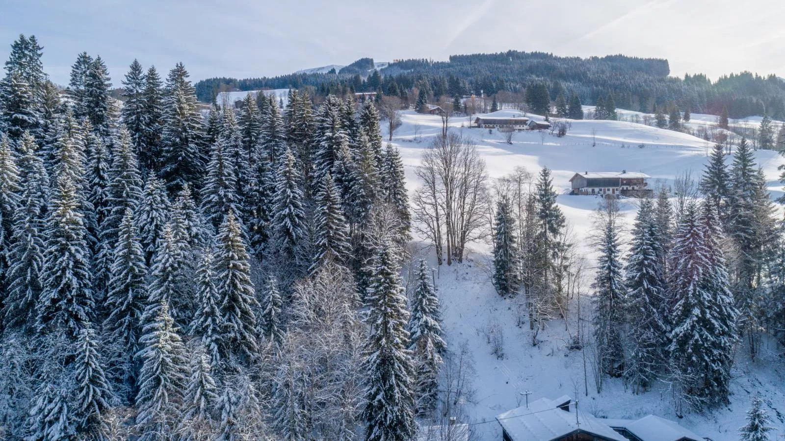 Blick auf den Rettenstein Top 1 und 2-Area winter 1km