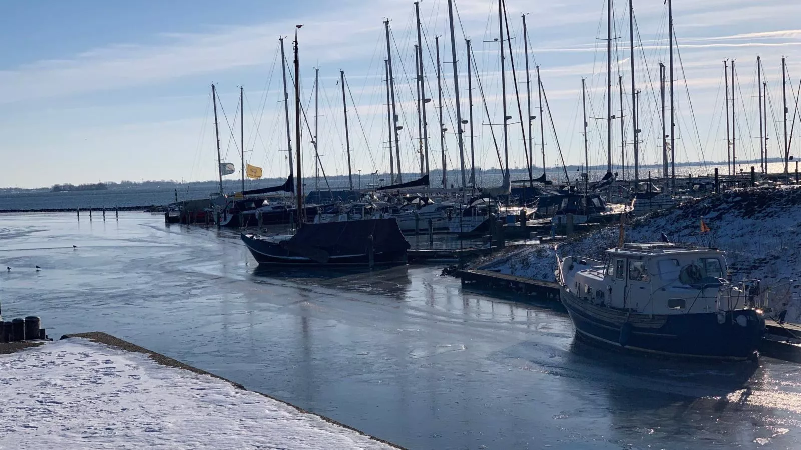 De Zeediek-Gebiet Winter 1 km