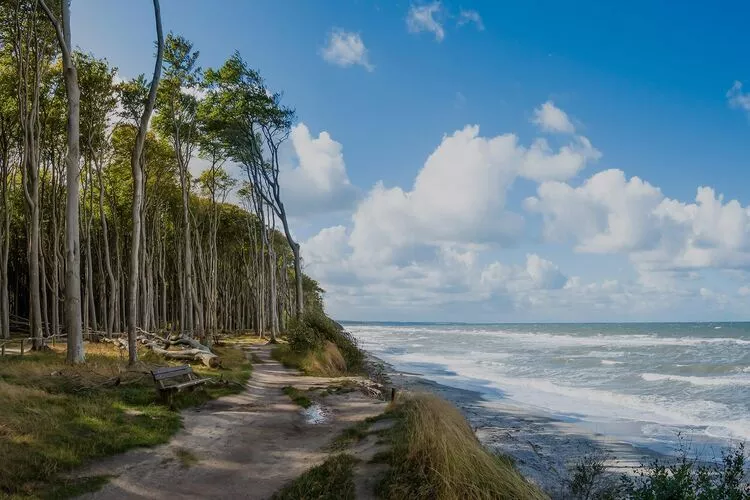 Domki PREMIUM Sarbinowo-Areas summer 1km