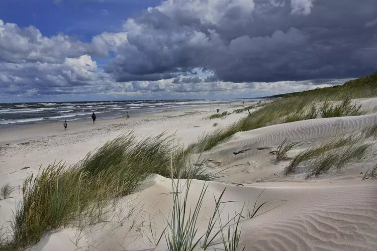 Domki PREMIUM Sarbinowo-Areas summer 1km