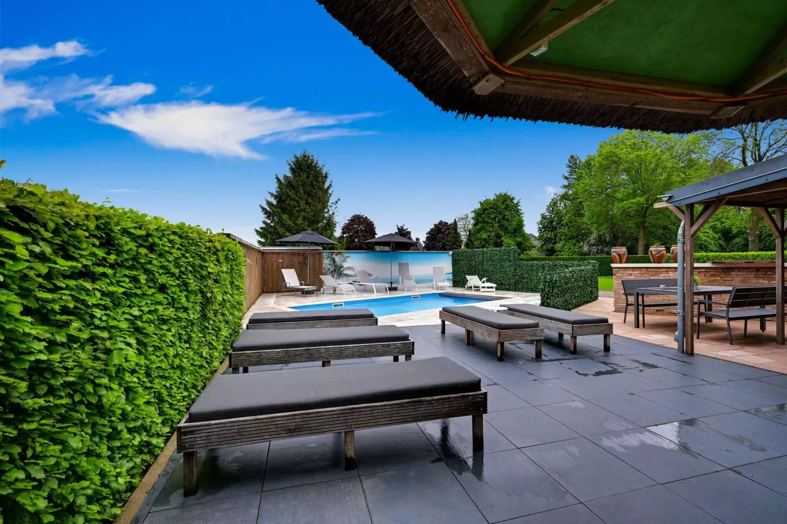 Villa Didam-Pool