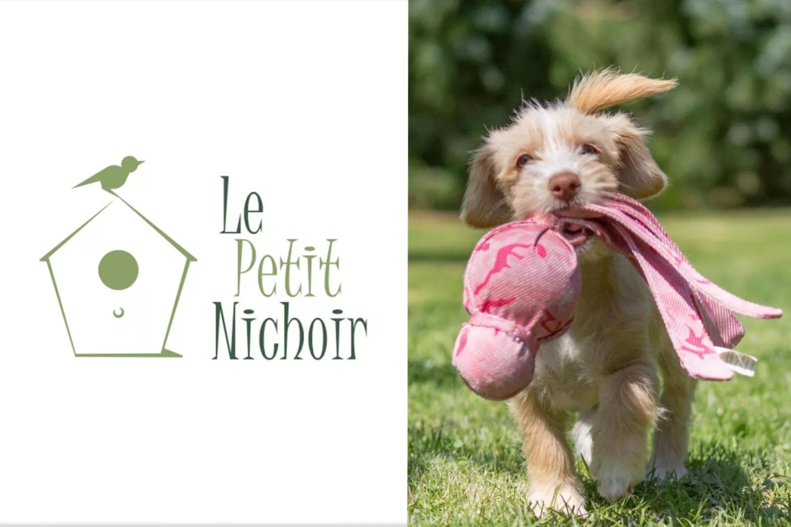 Le petit Nichoir-Ambiente