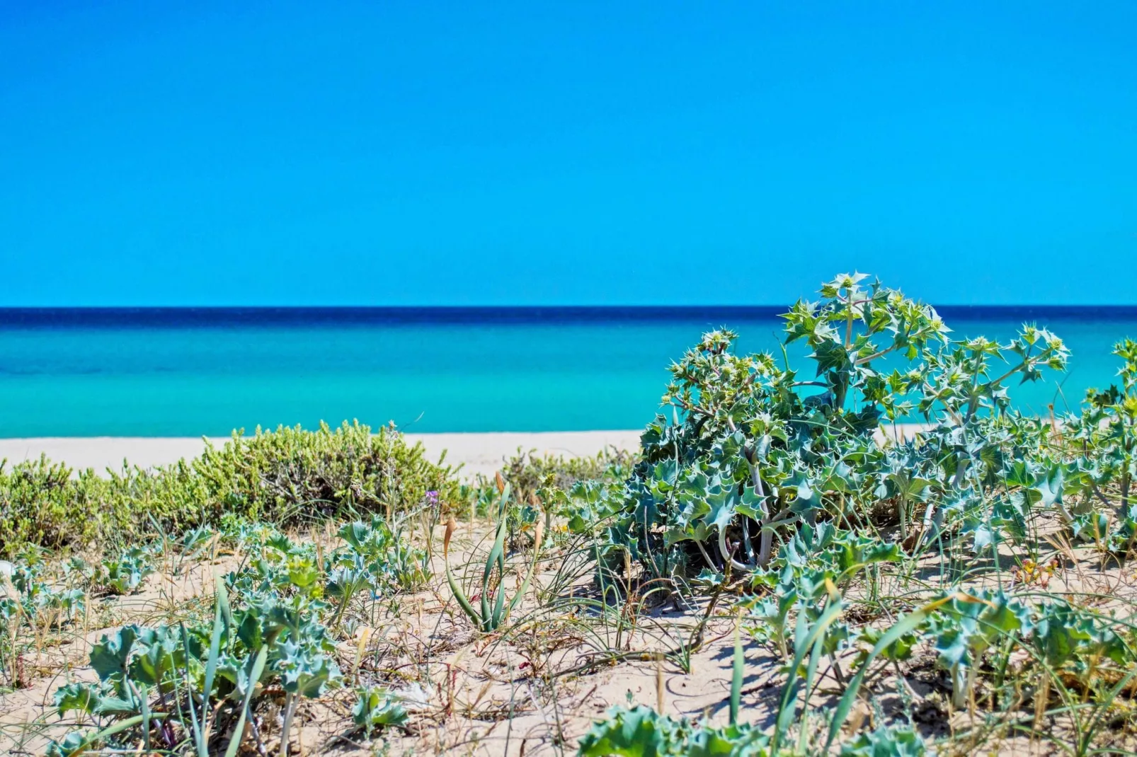 Holiday residence Costa Rei - Terraced House  Pentalocale Villaggio Baiazzurra Holidays-Areas summer 1km
