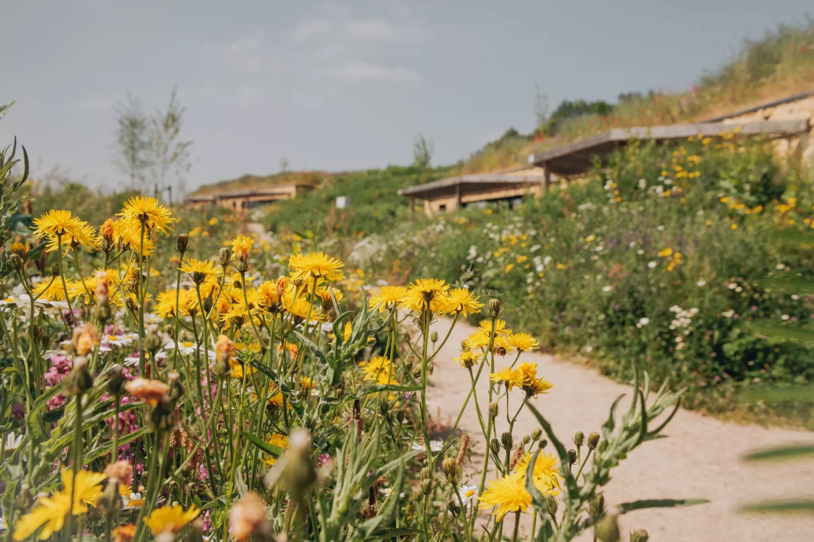 Resort Gulpen 3-Areas summer 1km