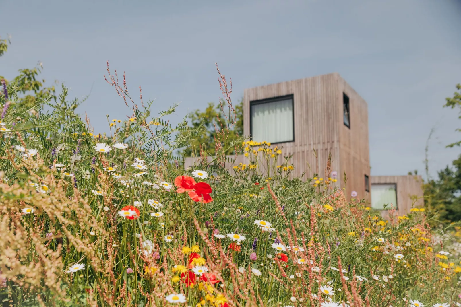 Resort Gulpen 8-Gebiete Sommer 1 km