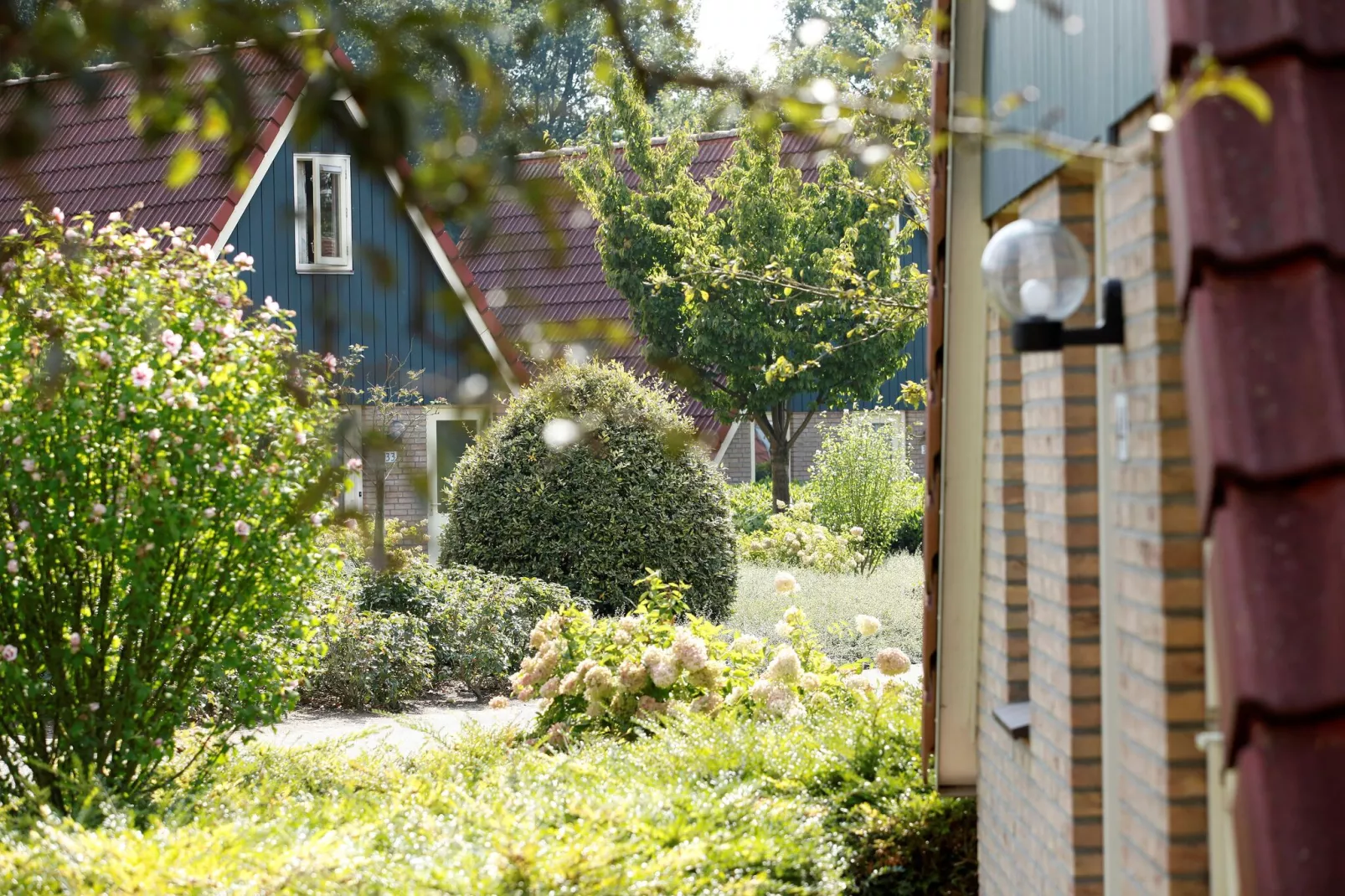 Vakantie bij Meeussen - Molendal 1-Exterior summer
