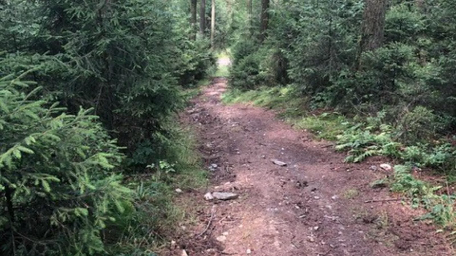 Abs Blokhut-Areas summer 1km