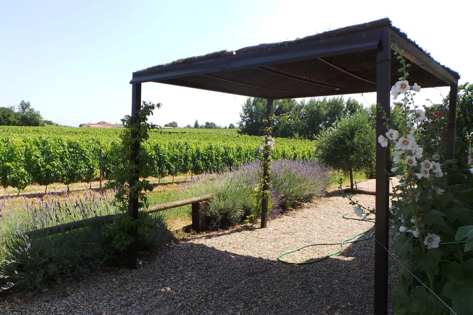 Le Pigeonnier-Exterior in summer