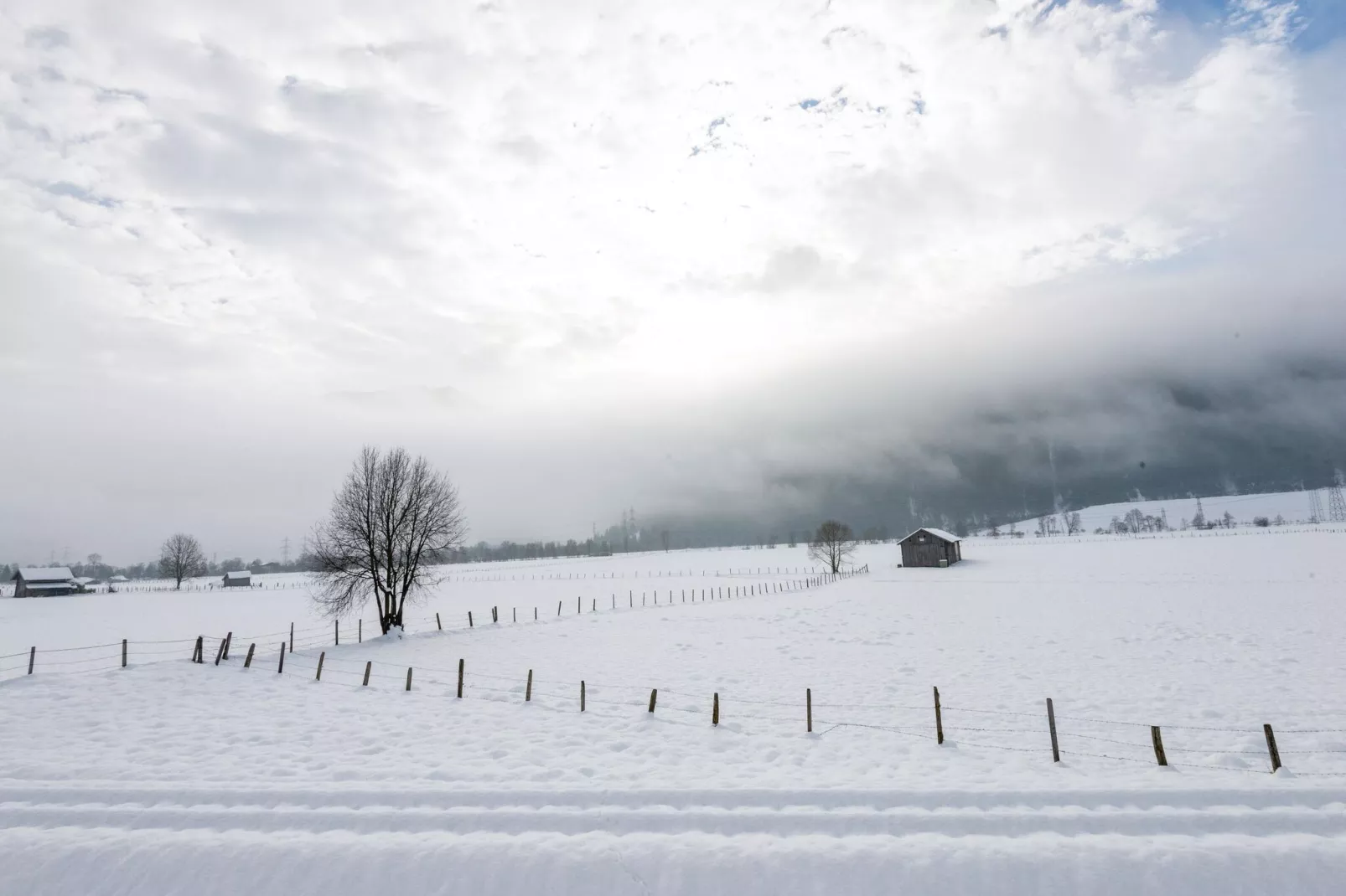 Steindorf-Area winter 1km