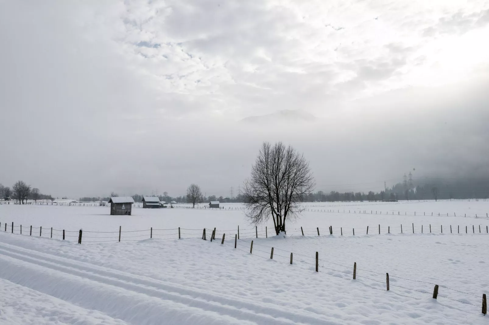 Steindorf 8-Area winter 1km