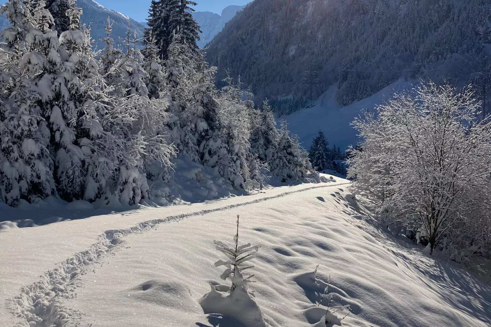 Fewo Pinzgau-Area winter 1km