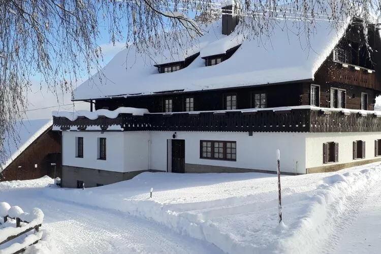 Ferienhaus Birkenhof-Exterior winter