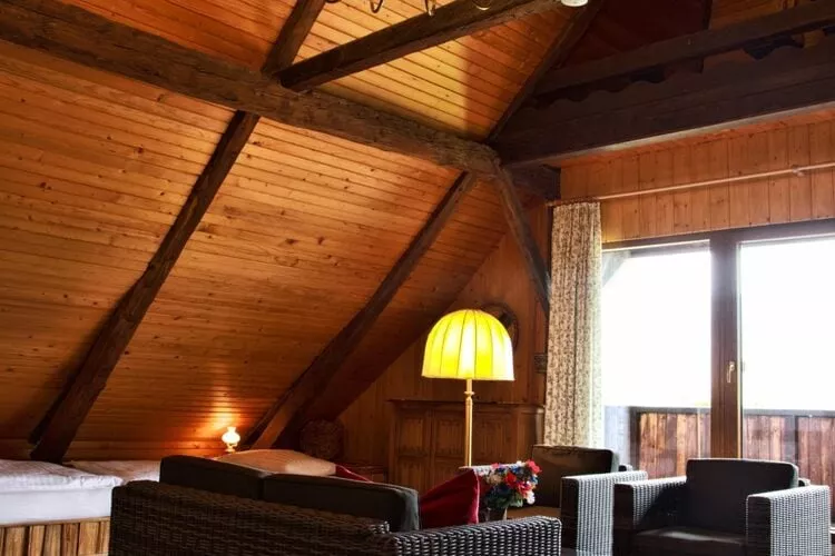 Ferienhaus Birkenhof-Living room