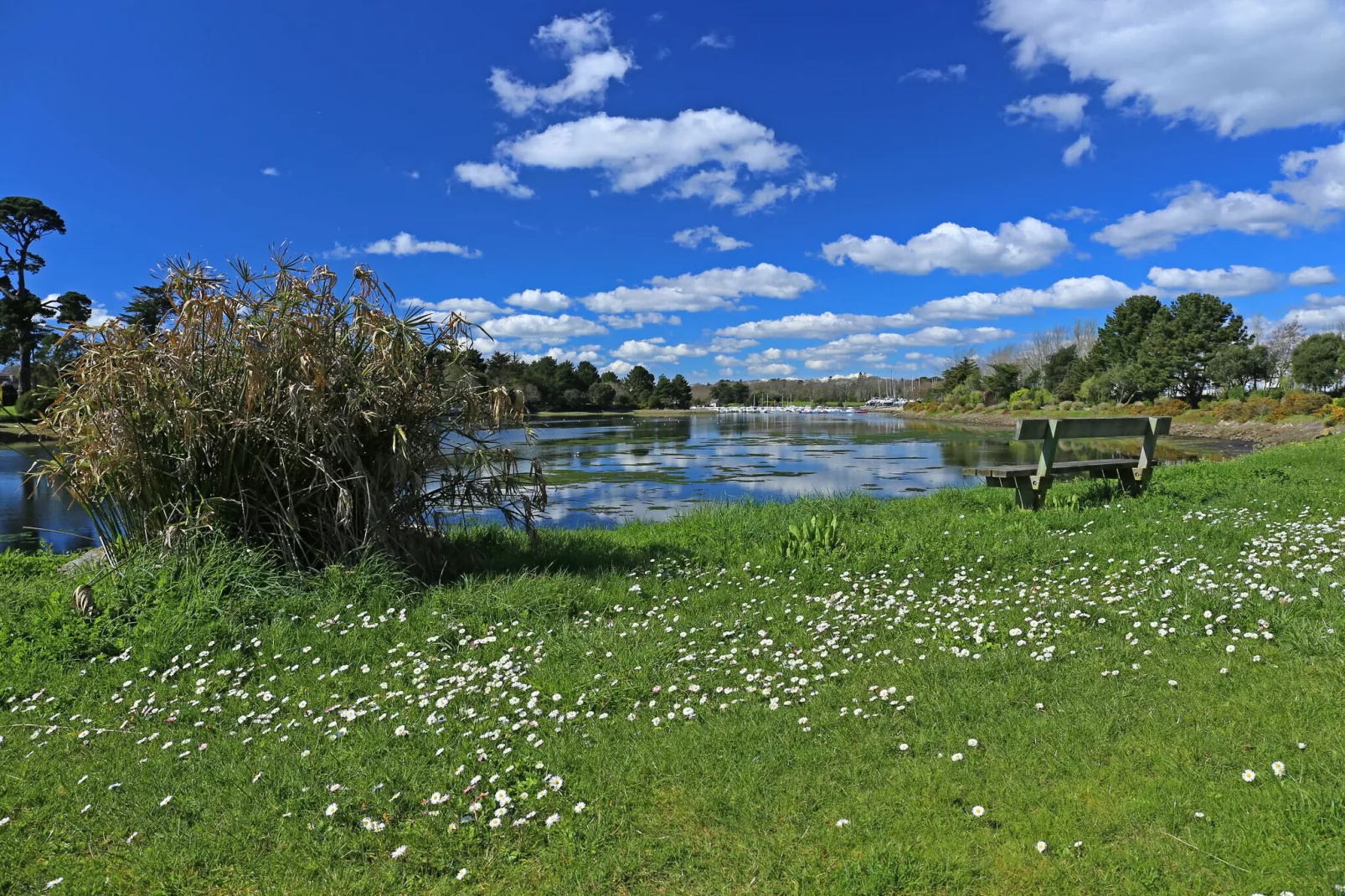 Holiday home Pont-l'Abbé-Areas summer 20km