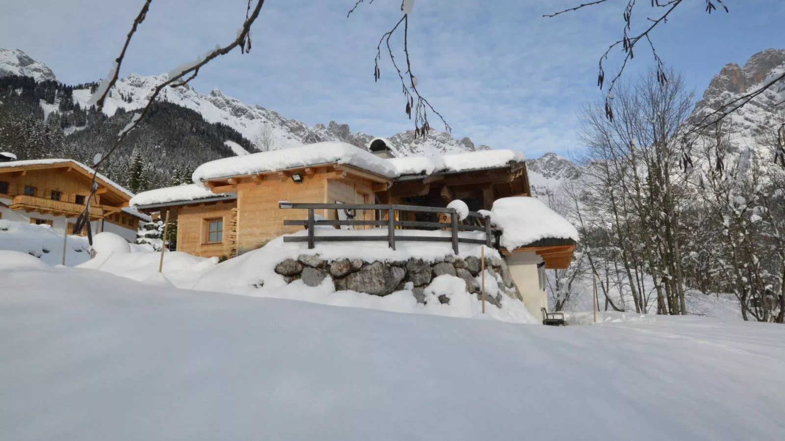 Selbkönig-Exterior winter