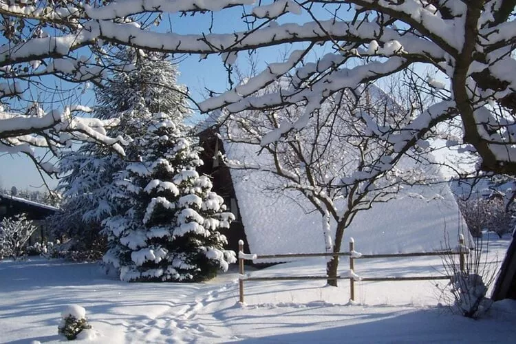 Feriendorf Waldbrunn 1-Exterior winter