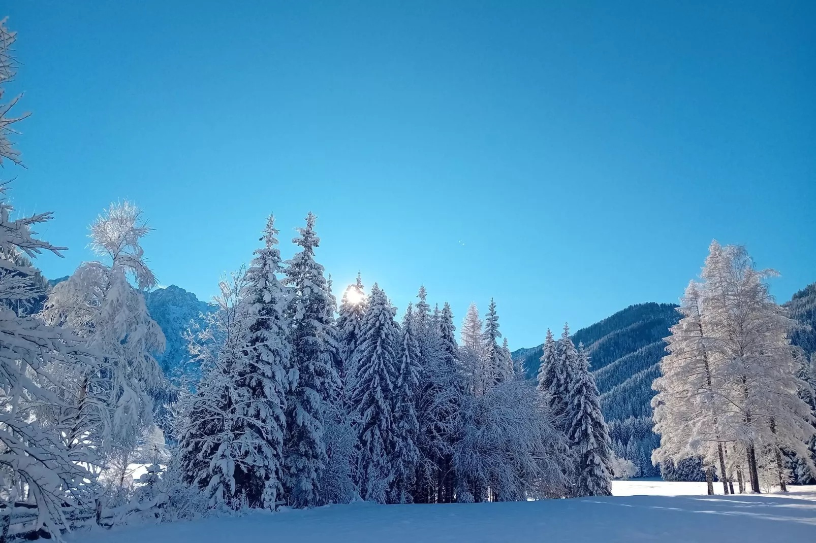 Haus Ella-Area winter 5km