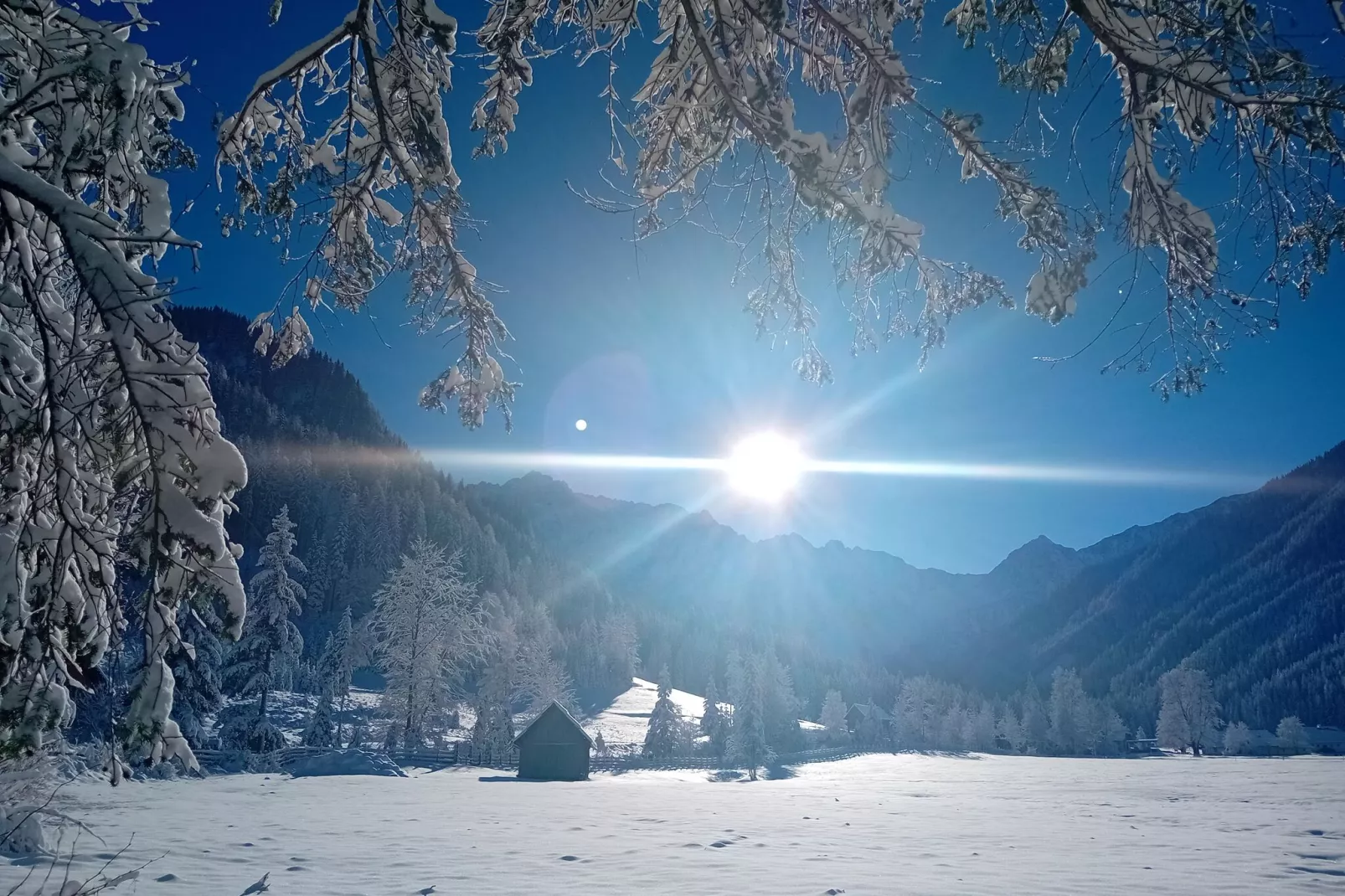 Haus Ella-Area winter 5km