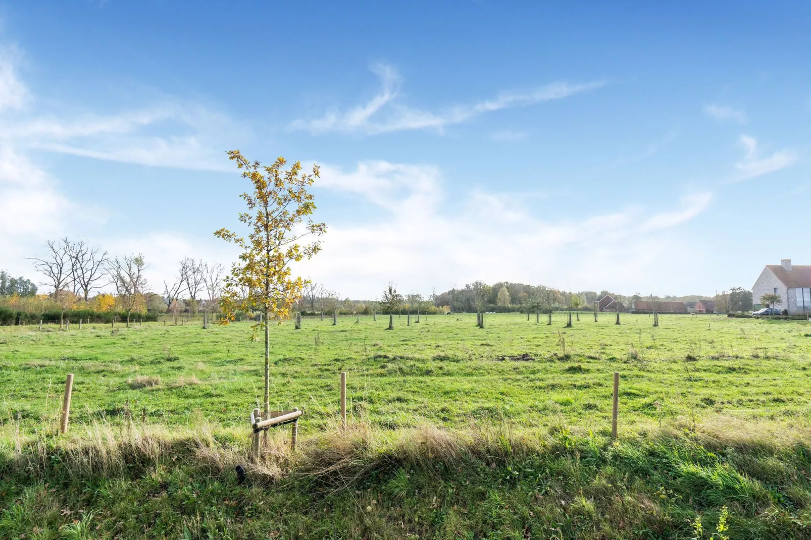 De oostster-Gebiete Sommer 5 km