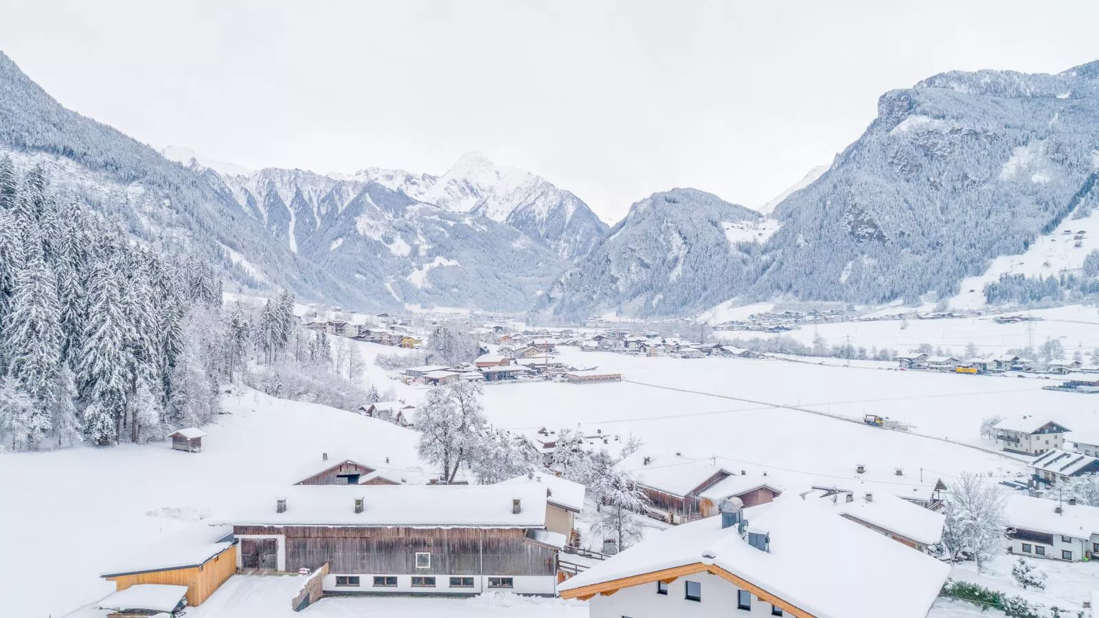 Rosalie-Lorena-Area winter 1km