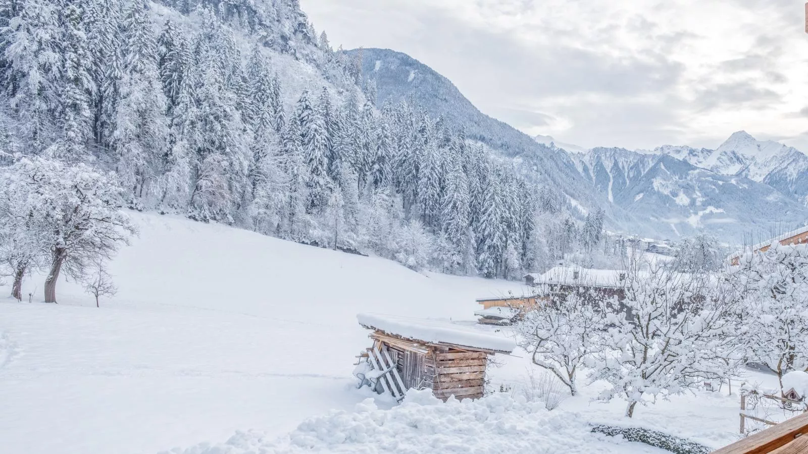Rosalie-Lorena-View winter
