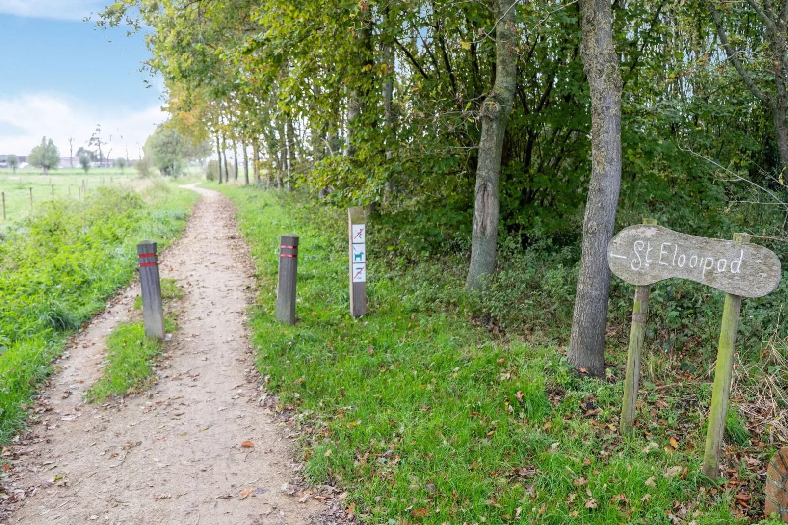 De oostster-Gebiete Sommer 5 km