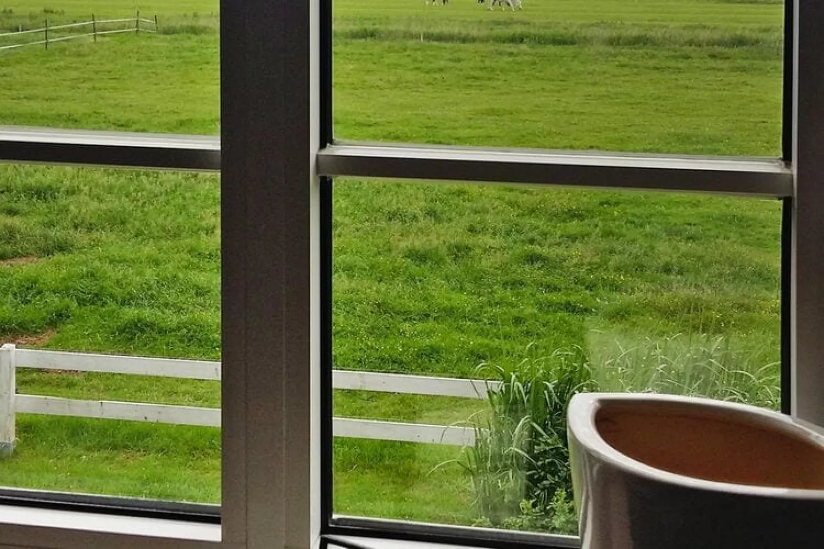 Ferienwohnung bi uns to Hus Tönning-Terrace