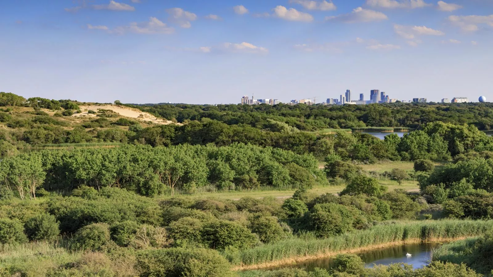 De Kleine Regentes-Areas summer 5km