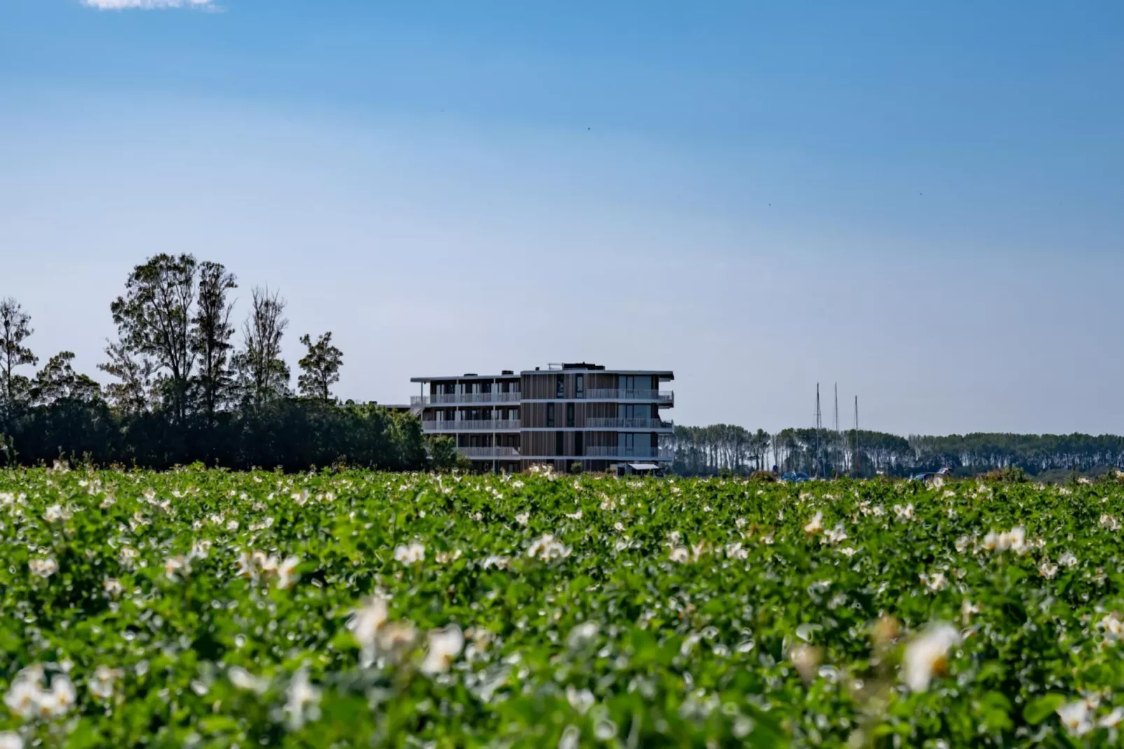 Veerse Wende 6 pers-Exterior summer
