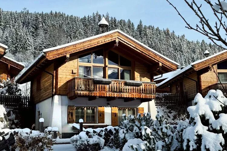 AlpenPura - Chalet Steinbock-Exterior winter