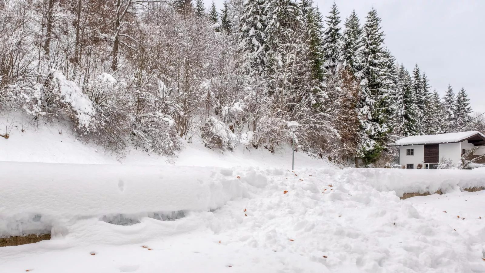 Chalet Hornblick-Area winter 1km