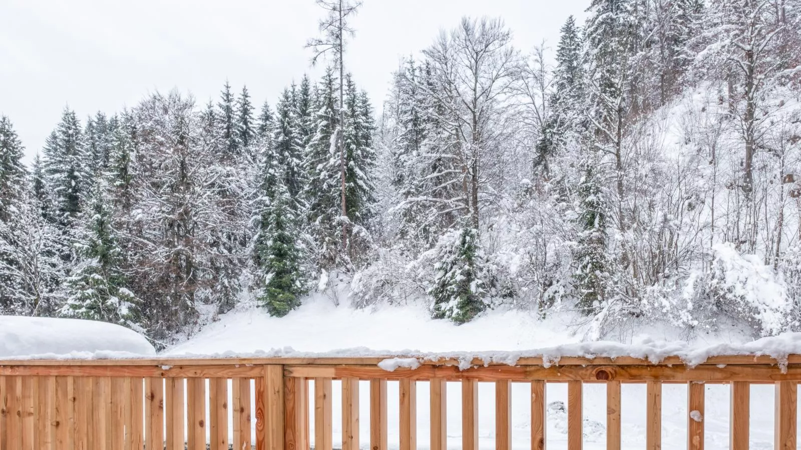 Chalet Hornblick-View winter