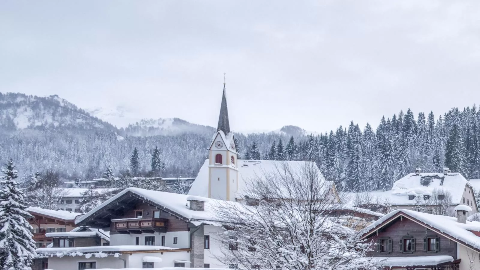 Chalet Hornblick-Area winter 1km
