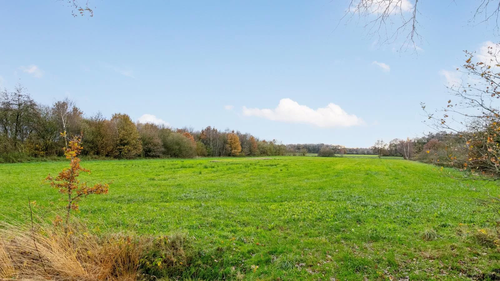 De Hoeve I-View