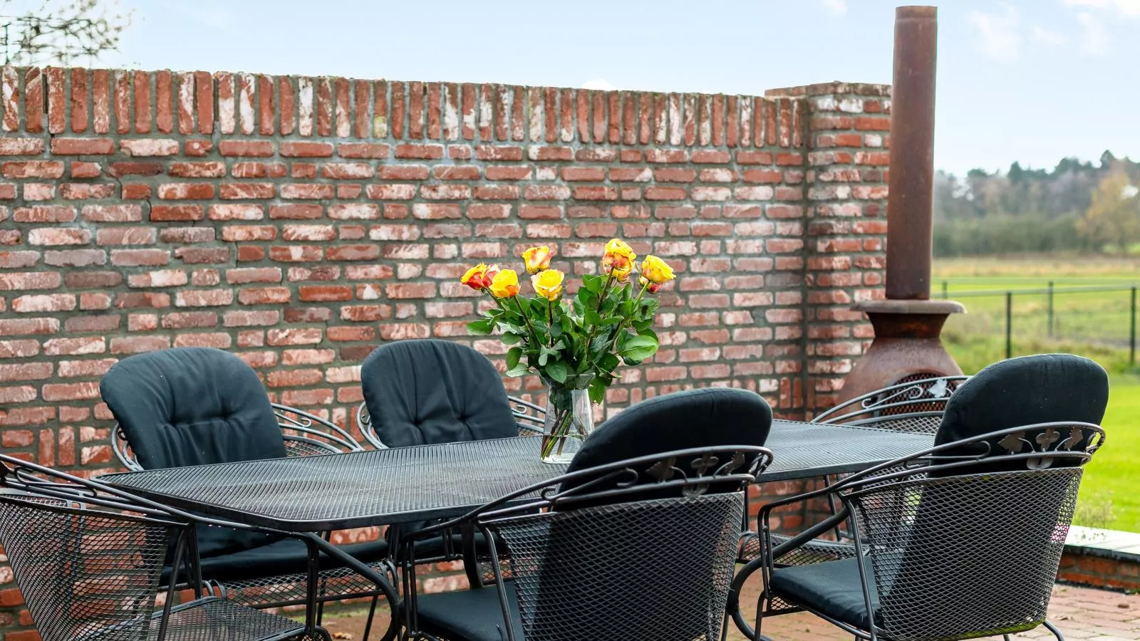 De Hoeve II-Terrace balcony