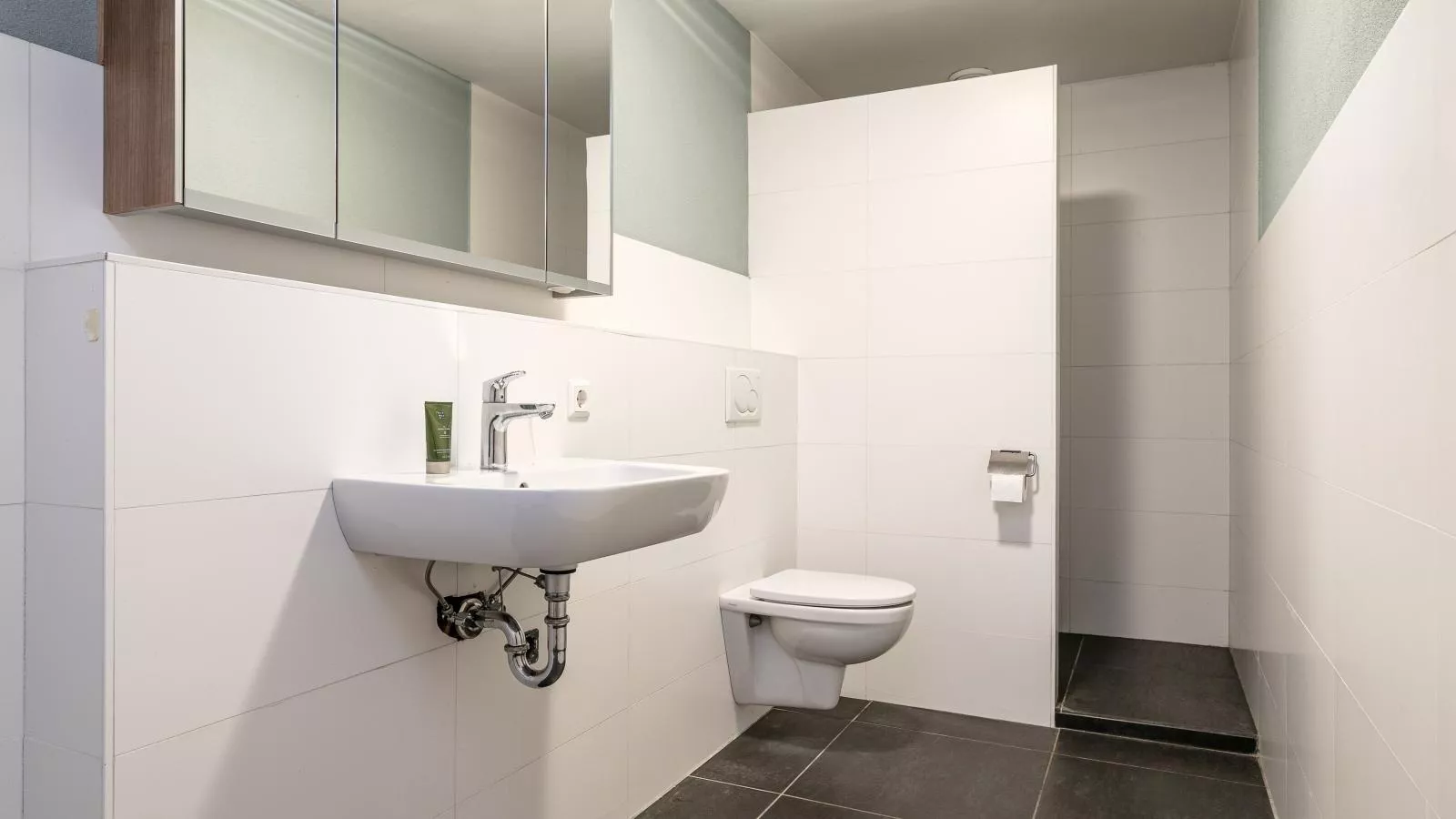 De Hoeve II-Bathroom