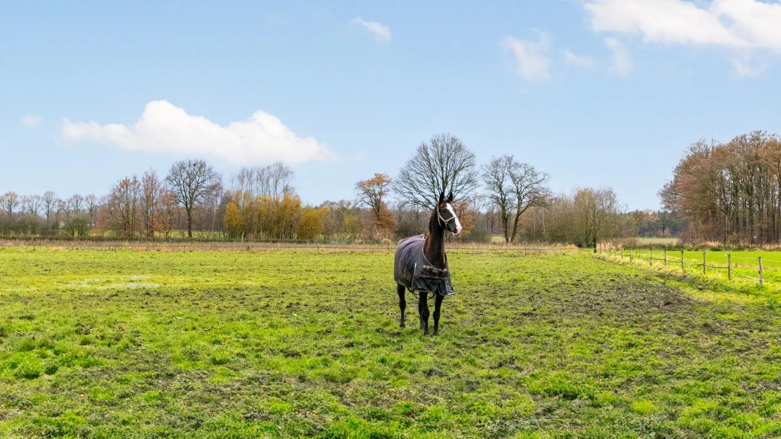 De Hoeve II-Areas summer 1km