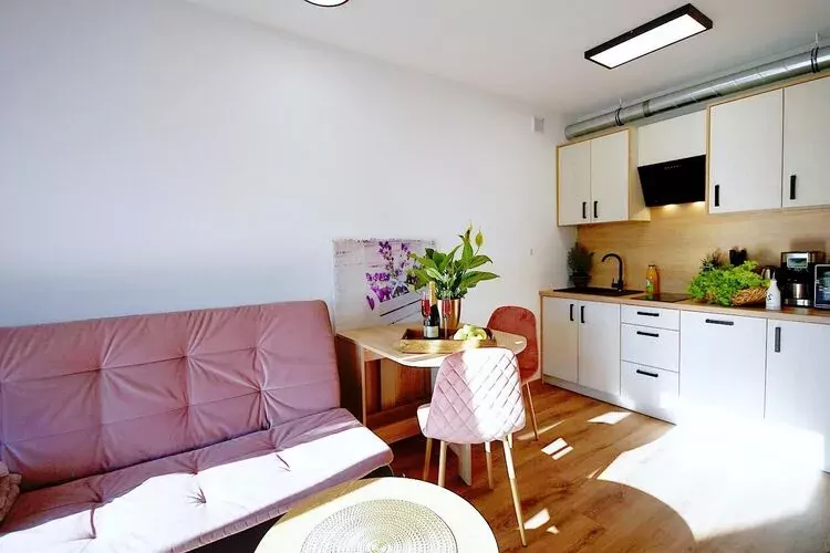 Apartament nr 5 Mielenko-Living room