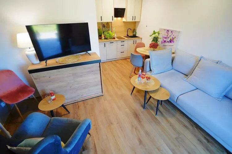 Apartament nr 9 Mielenko-Wohnzimmer