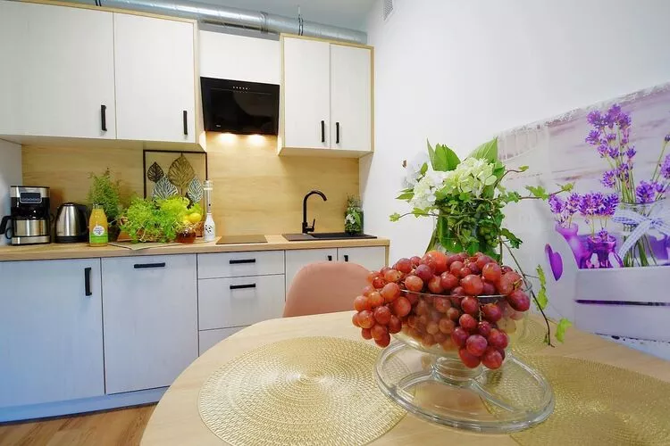 Apartament nr 9 Mielenko-Küche
