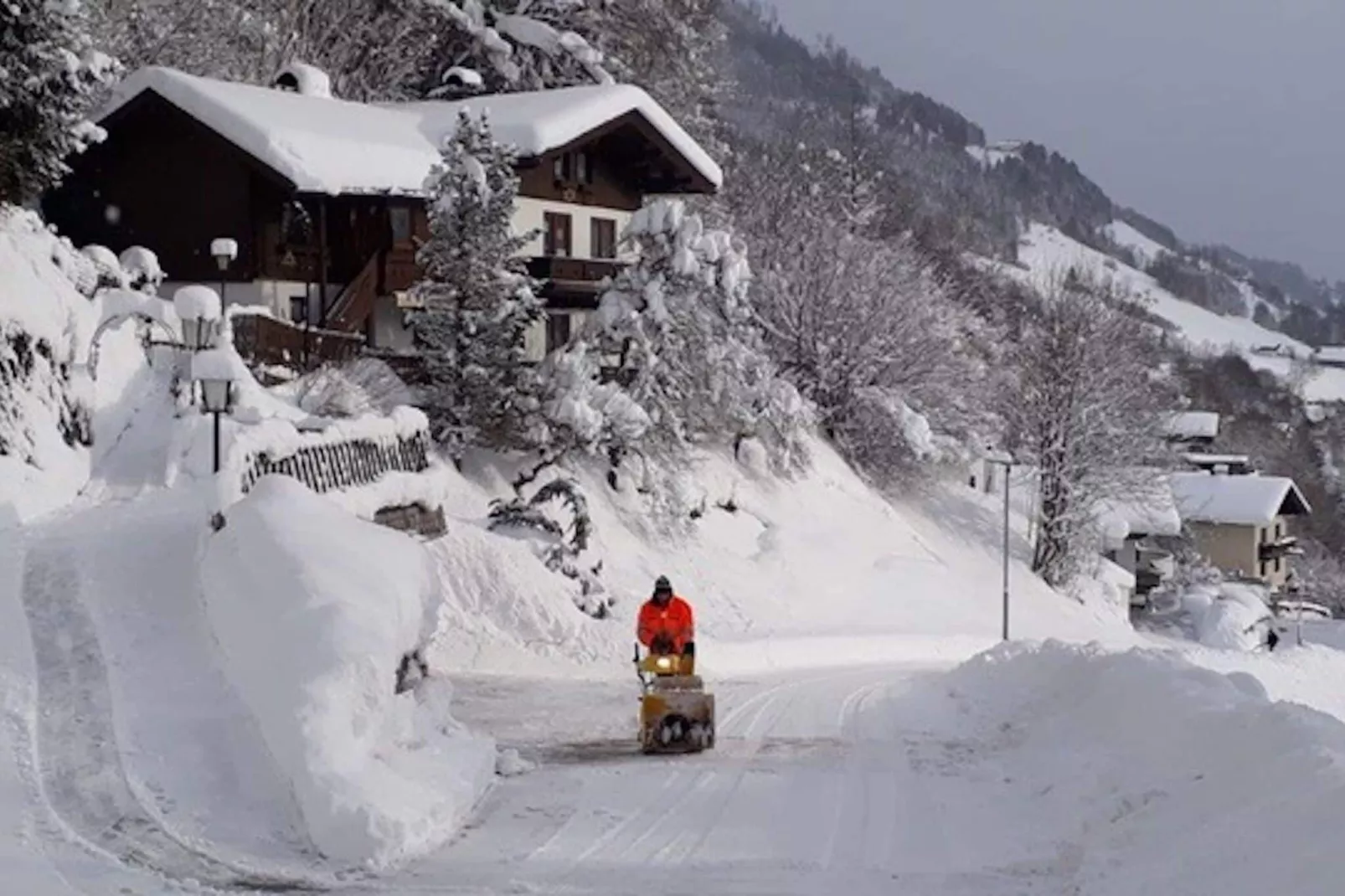 Kapeller-Area winter 1km