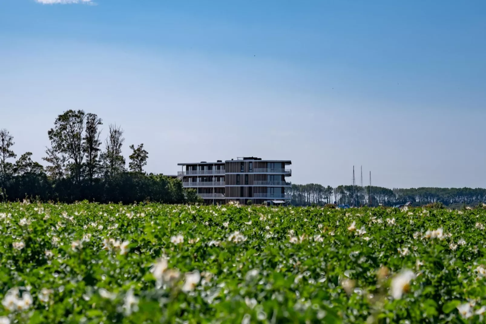 Veerse Wende 4 pers-Außenbereich Sommer