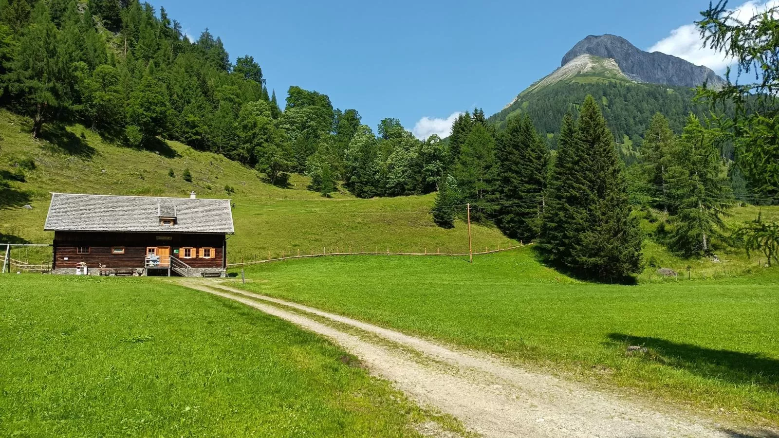 Lärchenhof Top 202-Areas summer 5km