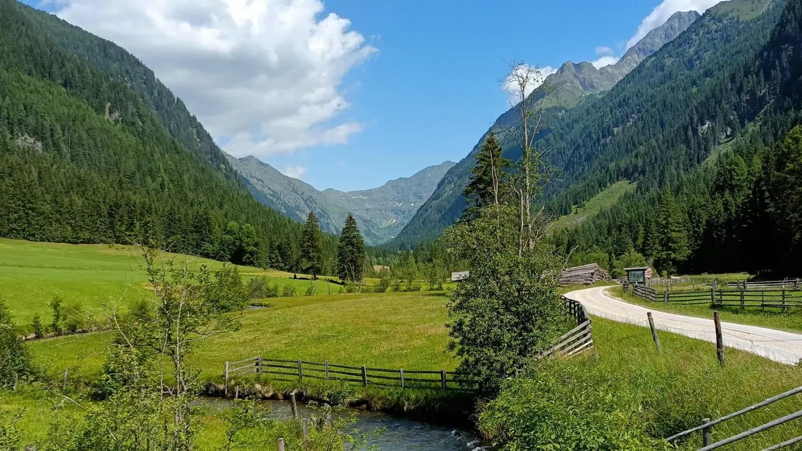 Lärchenhof Top 303-Areas summer 20km