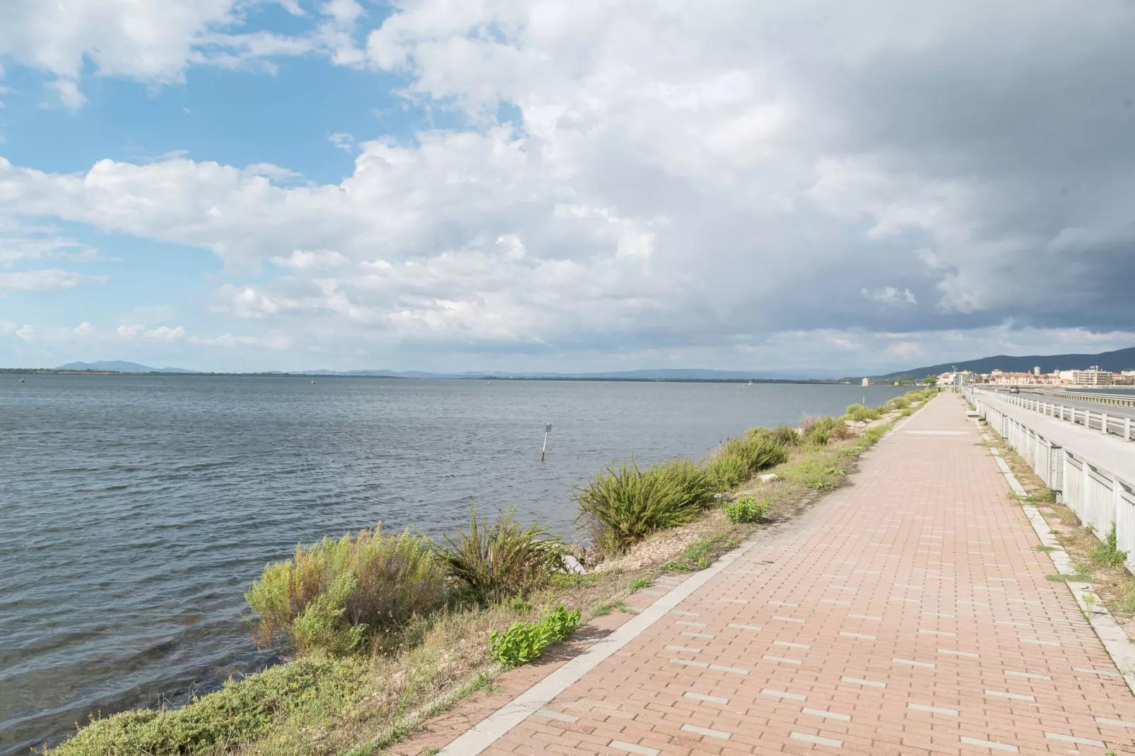 Saline-Areas summer 5km