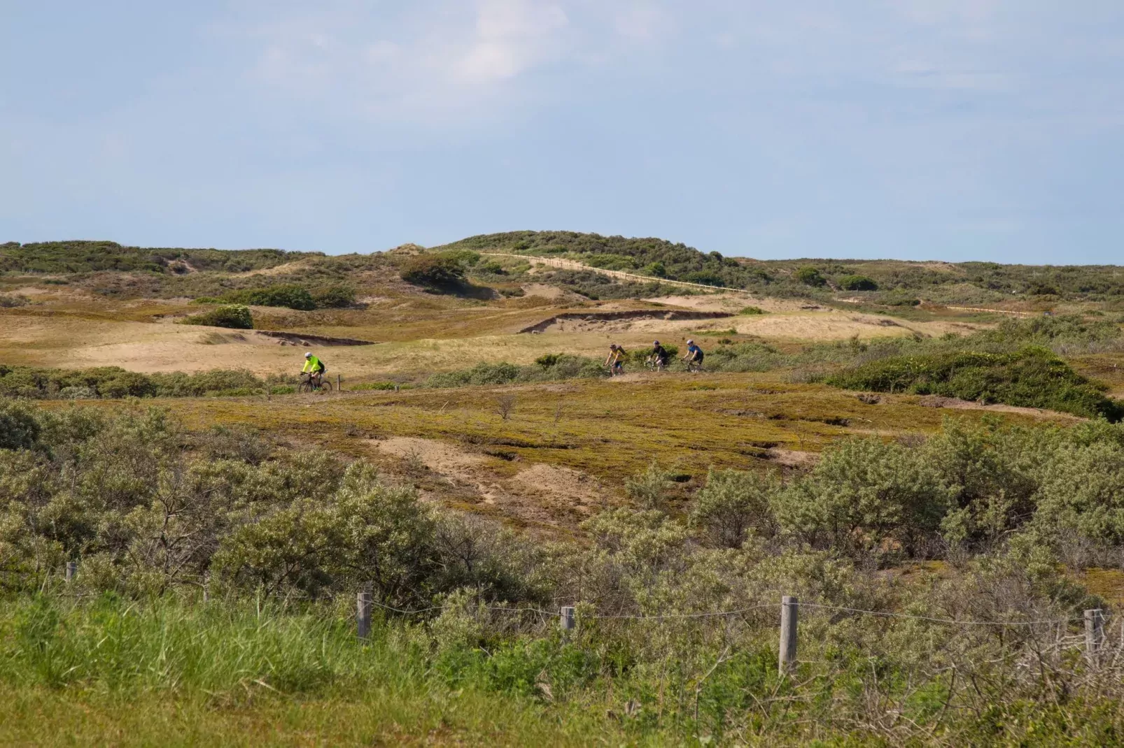 Vakantiepark Duinrust 3-Areas summer 1km